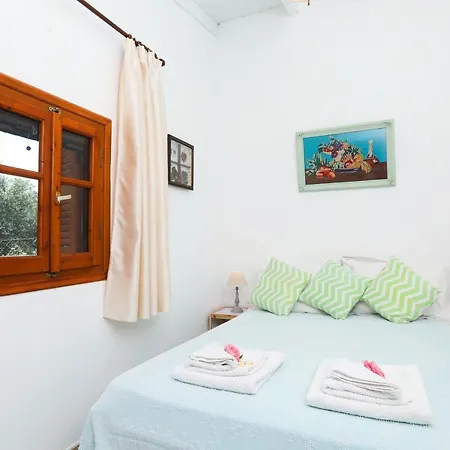 Tatil Evi Olive Tree *