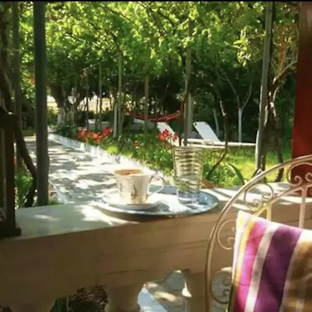 Olive Tree Tatil Evi
