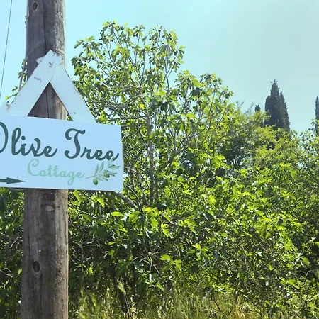 Casa de Férias Olive Tree