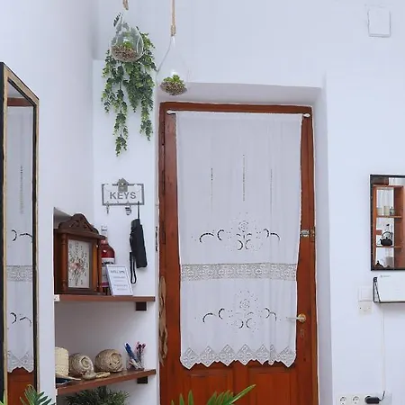 Olive Tree Case de vacanță Virós